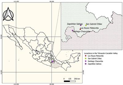Disappearance and survival of fermented beverages in the biosphere reserve Tehuacán-Cuicatlán, Mexico: The cases of Tolonche and Lapo